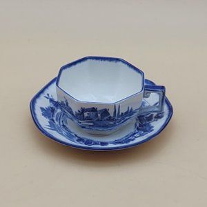 Vintage Tea cup & Saucer -Royal Doulton Norfolk
